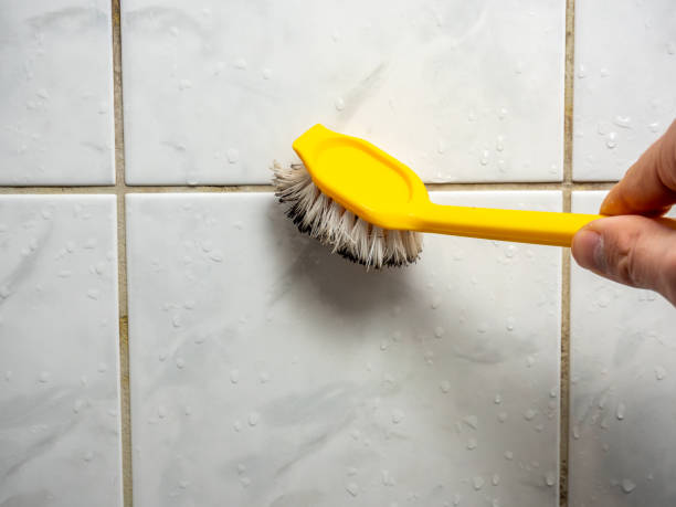 Best Certified Mold Removal  in Montpelier, OH