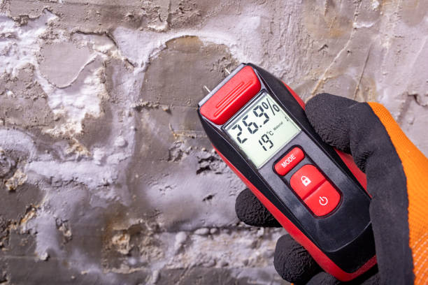 Best Mold Remediation Services  in Montpelier, OH