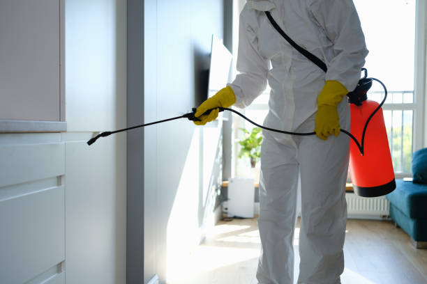 Best Residential Mold Removal  in Montpelier, OH